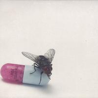 Cd Red Hot Chili Peppers – I'm With You