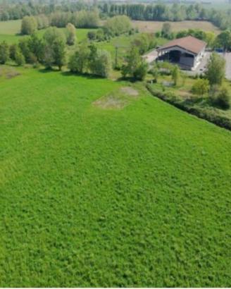 Immobile in asta di 32463 m² a Caravaggio