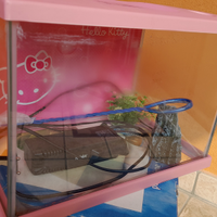 Acquario Hello Kitty