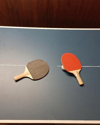 tavolo da ping pong