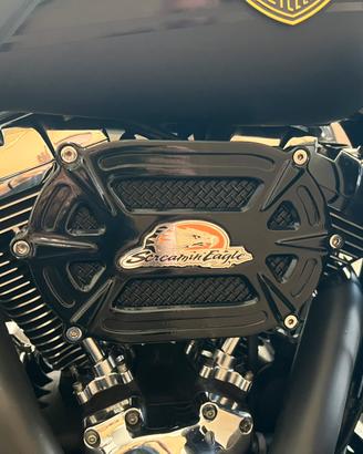 FILTRO ARIA HARLEY SCREAMIN' EAGLE®