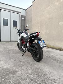Benelli bn251