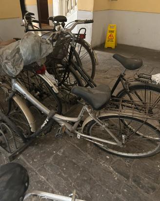 Bicicletta da donna