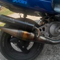Polini Scooter Team 4