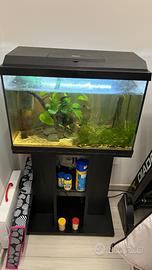 Acquario completo