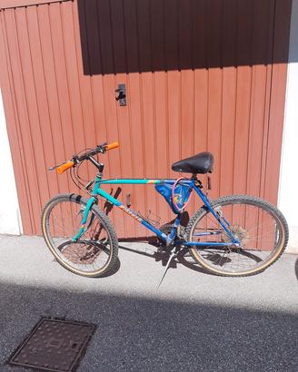 mountain bike