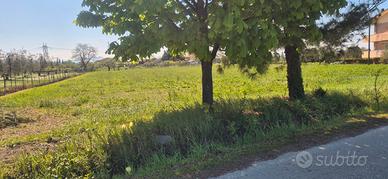 Terreno agricolo in pianura