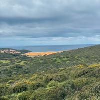 Terreno agricolo costa sud occ- 39.000 mq