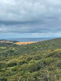 Terreno agricolo costa sud occ- 39.000 mq