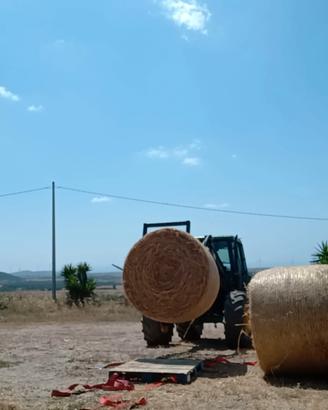 rotopresse foraggio orzo e veccia 