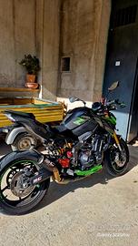Kawasaki Z 900 - 2023