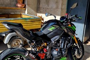 Kawasaki Z 900 - 2023
