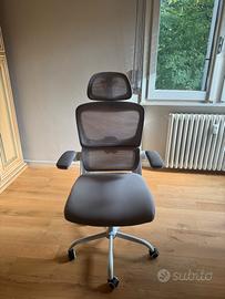 Sedia da Ufficio Ergonomica