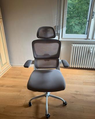 Sedia da Ufficio Ergonomica