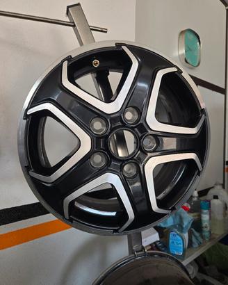 Cerchio e Ducato da 16