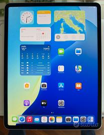 iPad Pro 12,9 (6th) gen. 128GB Wifi Cellular