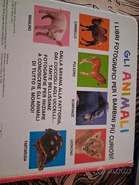 libro e libri puzzle