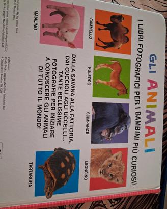 libro e libri puzzle