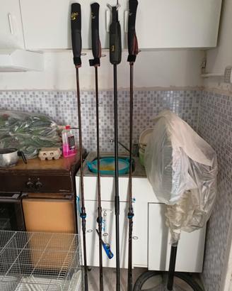 carpfishing pesca
