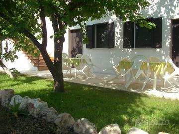 Case Vacanze in Azienda Agricola