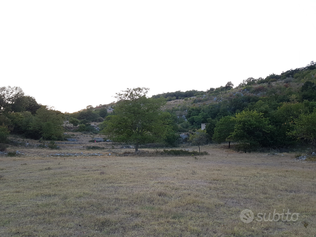 Terreno rustico con rudere da poter ricostruire