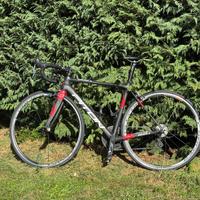 Bici da corsa Piton Golden 2