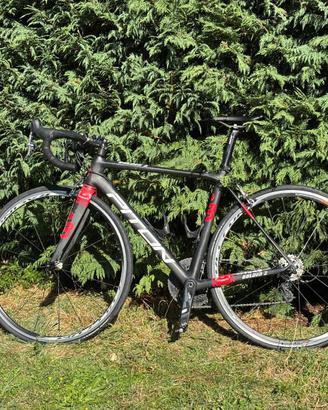Bici da corsa Piton Golden 2