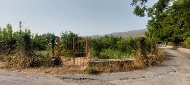  terreno agricolo