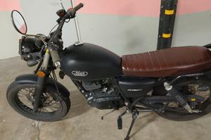 mash seventy 125