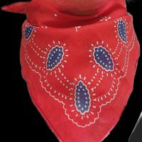Bandana rossa e blu
