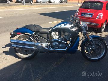 Harley-Davidson Street Rod - 2005