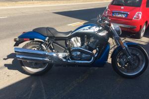 Harley-Davidson Street Rod - 2005