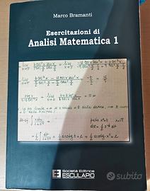 Esercitazioni di Analisi Matematica 1 – Bramanti –