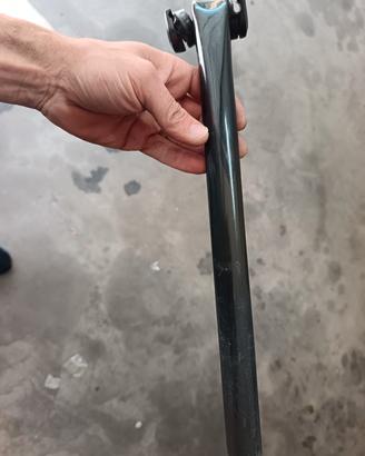 reggisella specialized 