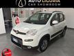 FIAT Panda 1.3 Multijet 16v 75cv S&S 4x4 Ant...
