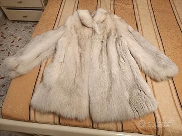 Pelliccia volpe bianca di Groenlandia