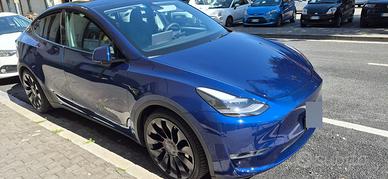 Tesla model Y performance 01/24