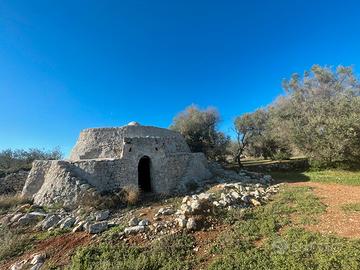 tra carovigno e Ostuni