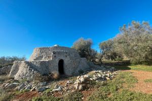 tra carovigno e Ostuni
