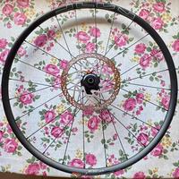 Cerchi WTB diametro 29”Tubeless