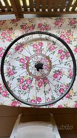 Cerchi WTB diametro 29”Tubeless