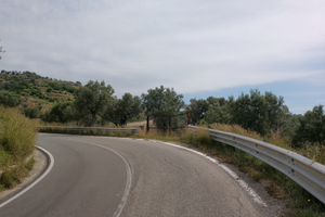 Uliveto 5 ettari "Costaraba" (CZ)