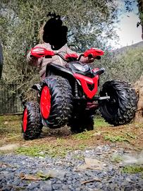 quad elettrico 
