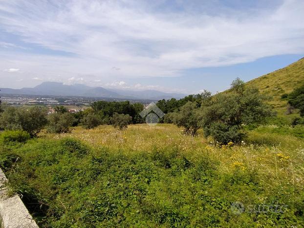 TER. AGRICOLO A PIEDIMONTE SAN GERMANO