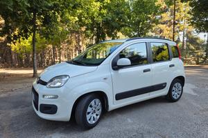 FIAT PANDA 1.2 FIRE LOUNGE KM 50.000