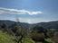 Immagine 29