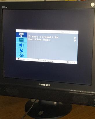 TV / SCHERMO LCD - Schermo pc SAMSUNG LW20 20"