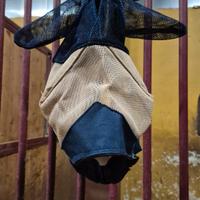 maschera per insetti della Umbria pony