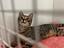 Immagine 5