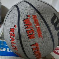 Palloni Basket Wilson 'Michael Jordan'